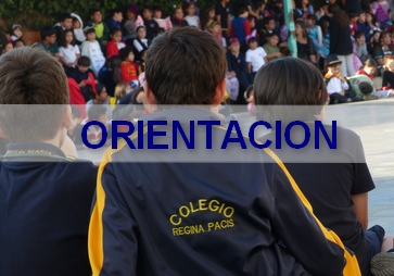 Orientación – Guía VIII 2025